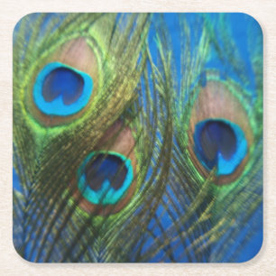 Fish Eye Peacock Still Life Square Paper Coaster