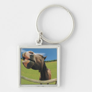 Fish-eye View of Horse Key Ring