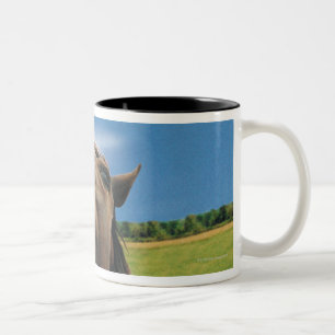 Fish-eye View of Horse Two-Tone Coffee Mug