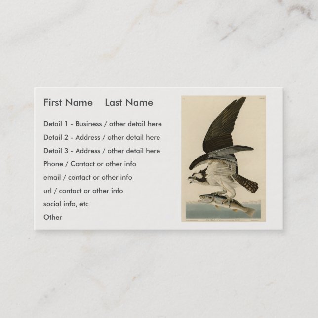Fish Hawk, Osprey, from Audubon's Birds of America Business Card (Front)