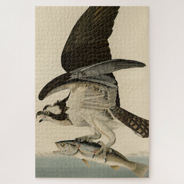 Fish Hawk, Osprey, from Audubon's Birds of America Jigsaw Puzzle (Vertical)
