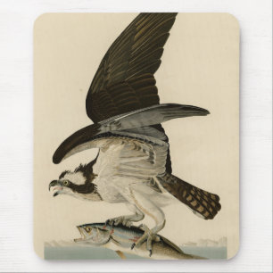 Fish Hawk, Osprey, from Audubon's Birds of America Mouse Mat