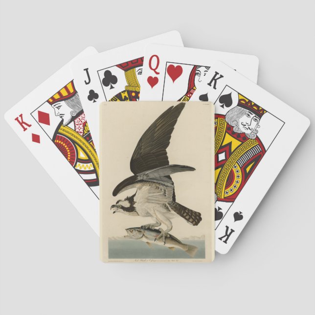 Fish Hawk, Osprey, from Audubon's Birds of America Playing Cards (Back)