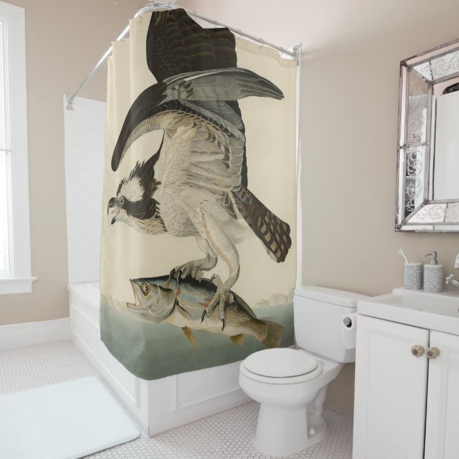 Fish Hawk, Osprey, from Audubon's Birds of America Shower Curtain (In Situ)