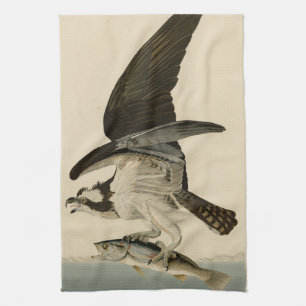 Fish Hawk, Osprey, from Audubon's Birds of America Tea Towel