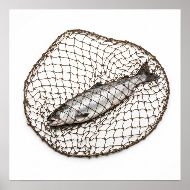 Fish in a Net Poster (Front)