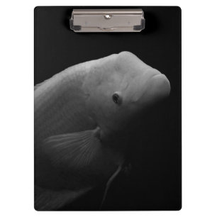 Fish in Tank - Black and White Art Photograph Clipboard