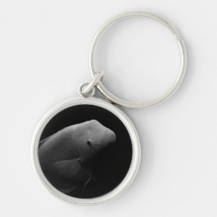 Fish in Tank - Black and White Art Photograph Key Ring