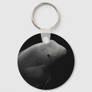 Fish in Tank - Black and White Art Photograph Keyc Key Ring