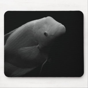 Fish in Tank - Black and White Art Photograph Mouse Mat