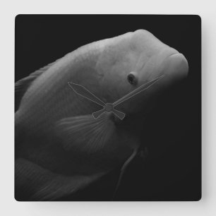 Fish in Tank - Black and White Art Photograph Square Wall Clock