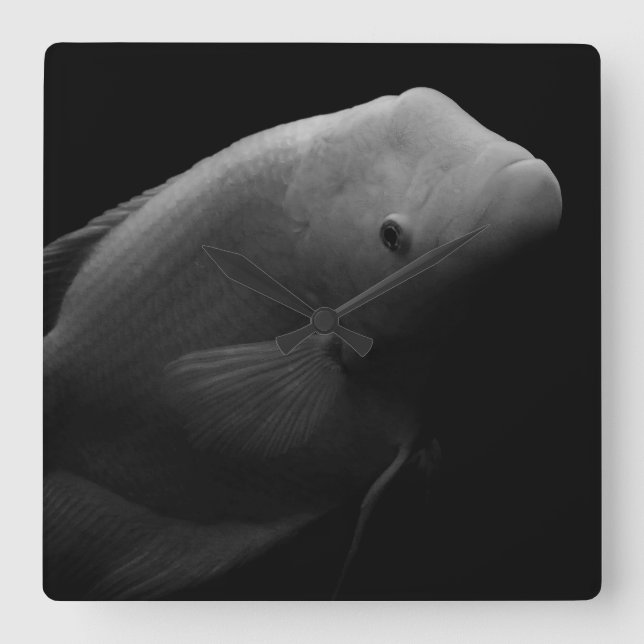 Fish in Tank - Black and White Art Photograph Square Wall Clock (Front)