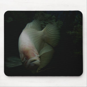 Fish in Tank Mouse Mat