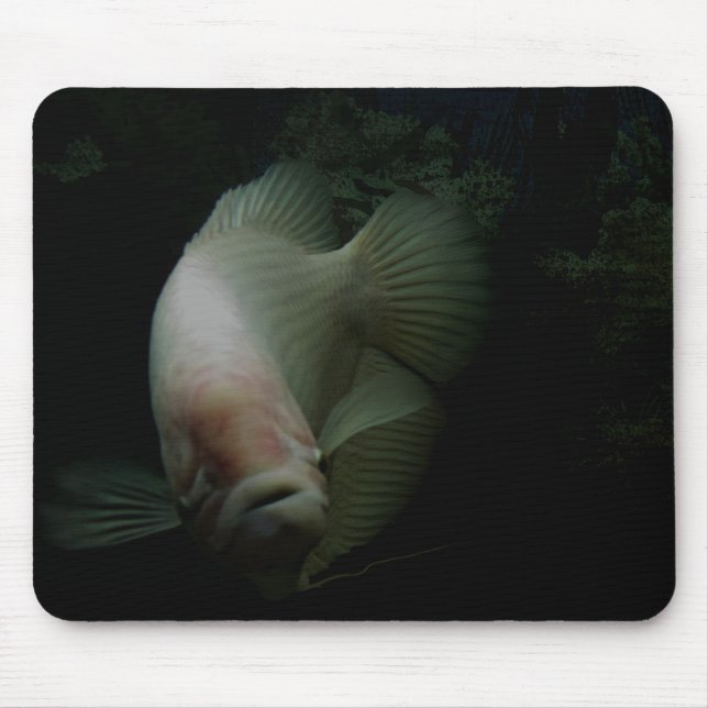 Fish in Tank Mouse Mat (Front)
