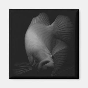 Fish in Tank Portrait  Magnet