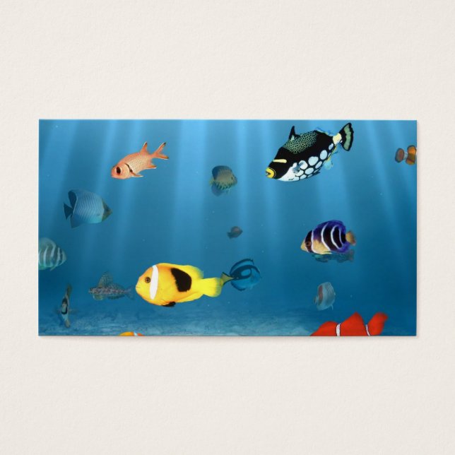 Fish In The Ocean (Front)