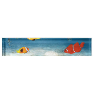 Fish In The Ocean Nameplate