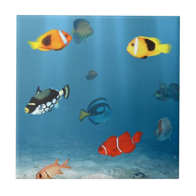 Fish In The Ocean Tile (Front)