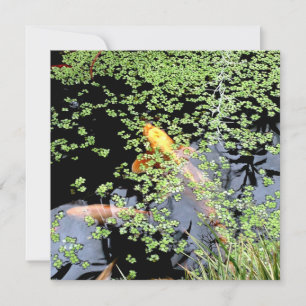 Fish Invitation