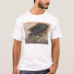 Fish - Jack Dempsey - Archocentrus octofasciatus T-Shirt