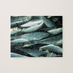 Fish Jigsaw Puzzle