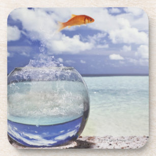 Fish jumping from fish tank coaster