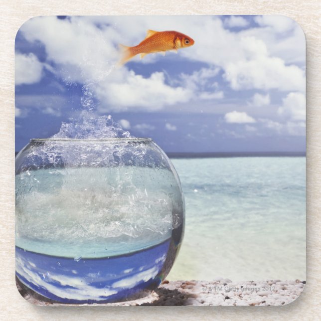 Fish jumping from fish tank coaster (Front)