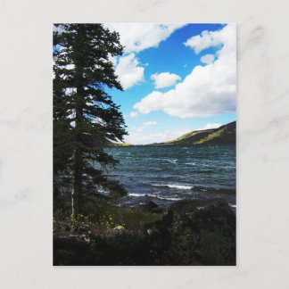 Fish Lake, Utah Postcard
