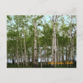 Fish Lake, Utah Postcard