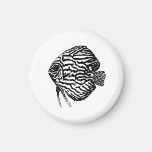 Fish  magnet
