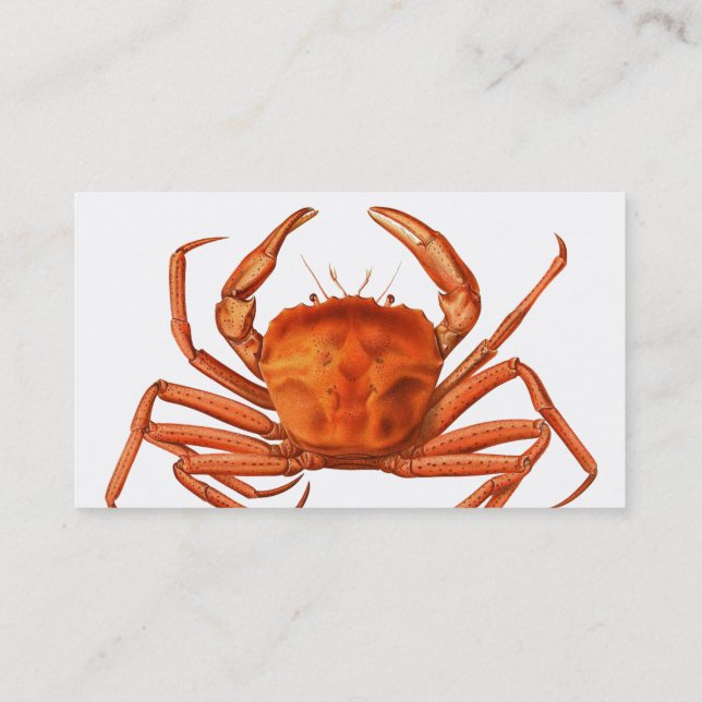 Fish Market Business Card - Red Crab (Back)