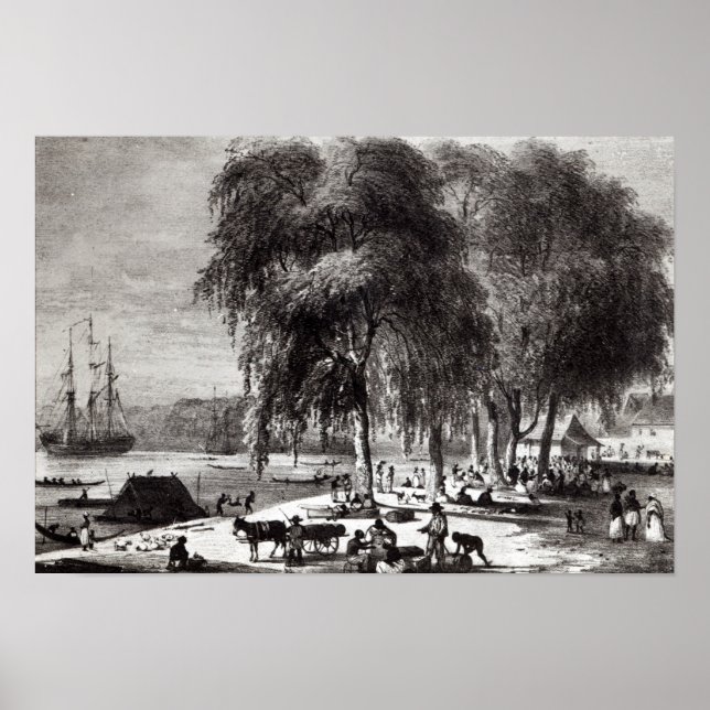 Fish Market, Paramribo Poster (Front)