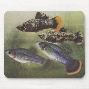 Fish - Mollies - Poecilia sphenops Mouse Mat