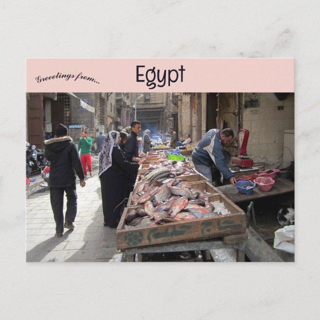 Fish mongers in Old Islamic Quarter of Cairo Egypt Postcard (Front)