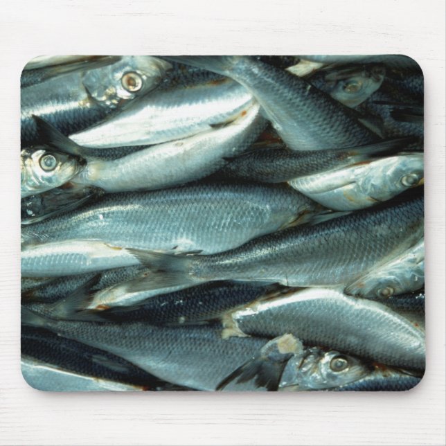 Fish Mouse Mat (Front)