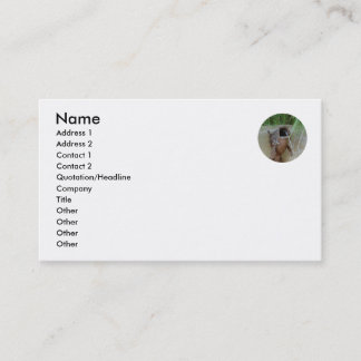 FISH MOUTH - business card template