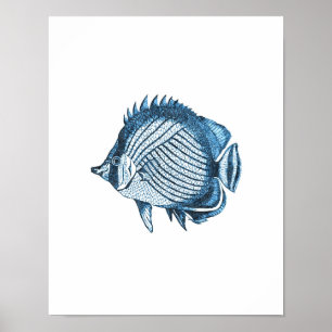 Fish nautical coastal ocean beach sea blue poster