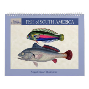 Fish of South America 2025 Calendar