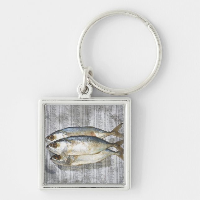 Fish on financial newspaper, elevated view key ring (Front)