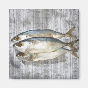 Fish on financial newspaper, elevated view magnet