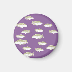 Fish on purple magnet