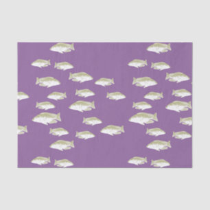 Fish on purple tissue paper