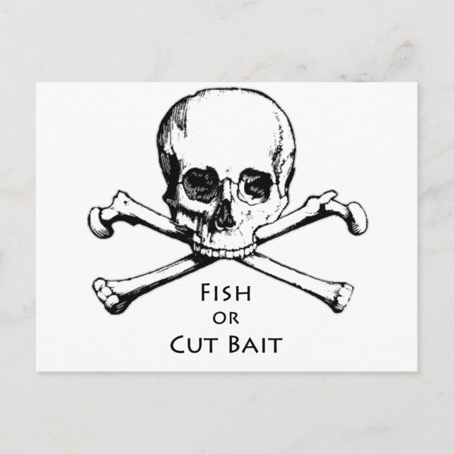 "Fish or Cut Bait" Jolly Roger Pirate Logo Postcard (Front)
