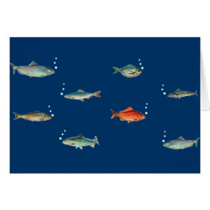 Fish Pattern
