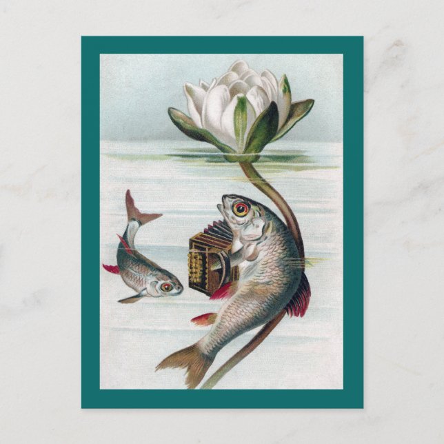 Fish Playing Accordion and Water Lily Postcard (Front)