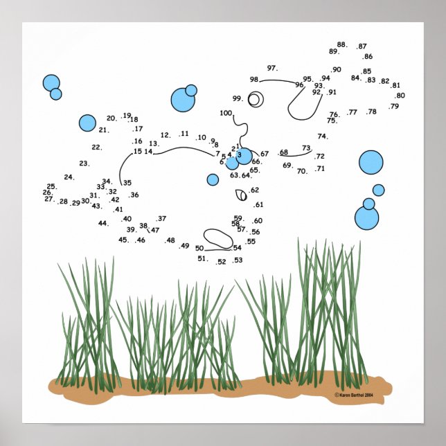 Fish Pond Connect The Dots Poster (Front)