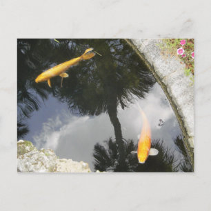 Fish postcard
