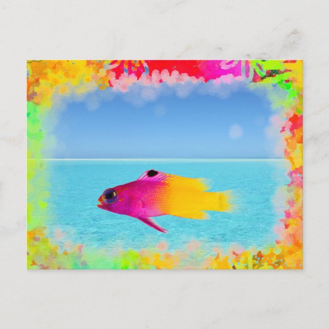 Fish Postcard (Front)