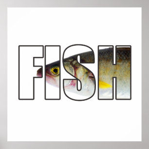 Fish Poster