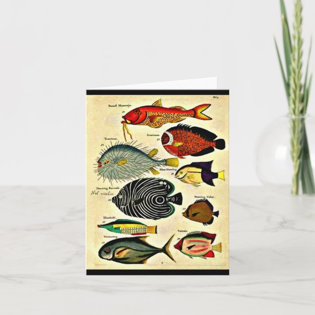  fish print note card (Front)